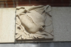 SDC10526