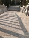IMG-20180219-WA0011